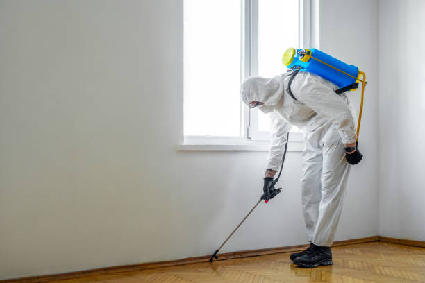 Best Organic or Eco-Friendly Pest Control  in Solvay, NY